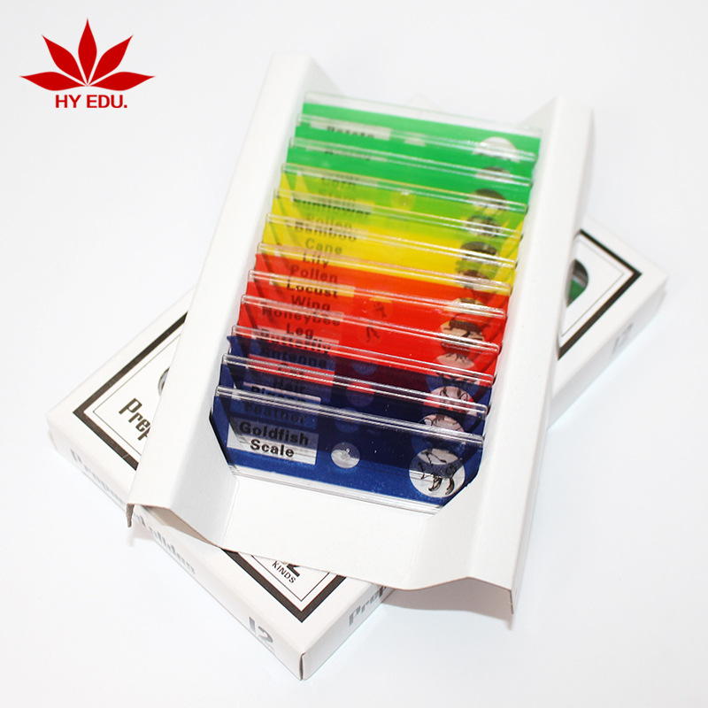 Children's Microscope Matching Plastic Biological Slices Animal Plants Insects 12-Piece Colorful Set