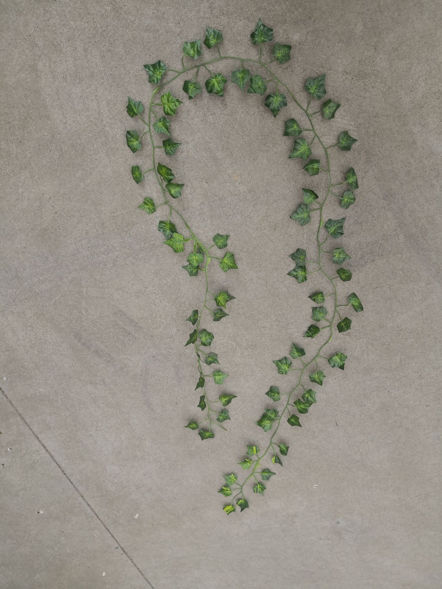 Factory Direct sales creeper leaf Vine