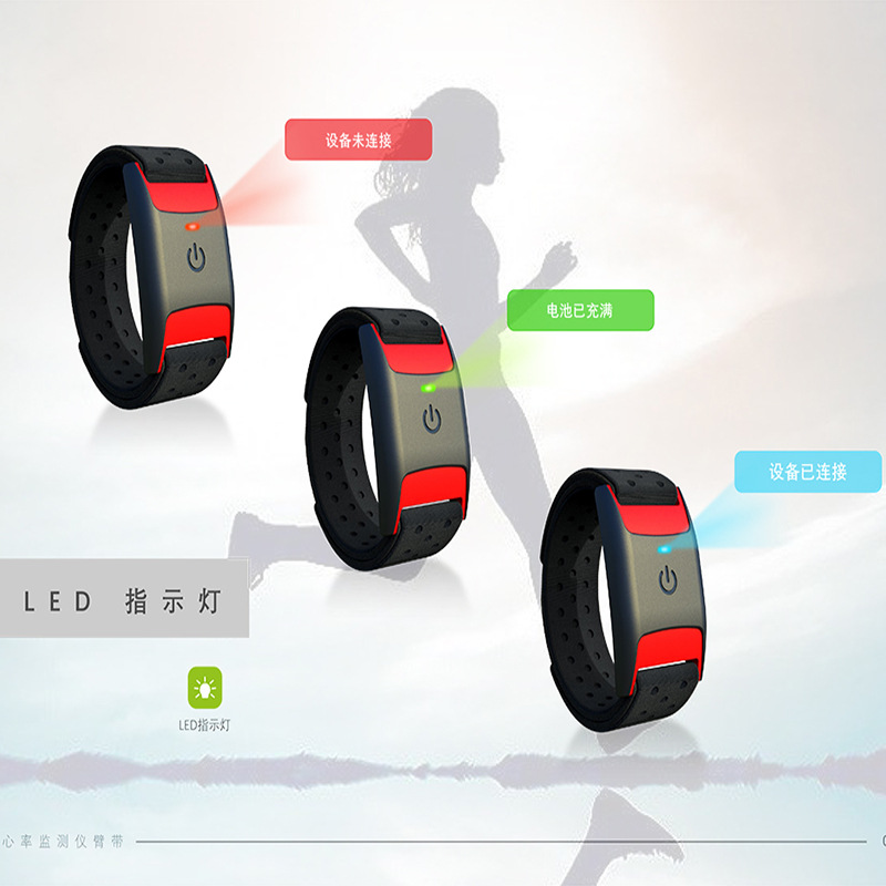 Customized Outdoor Sports Smart Heart Rate Belt Real-Time Heart Rate Pedometer Bluetooth 5.0Ant+ Heart Rate Armband Oem