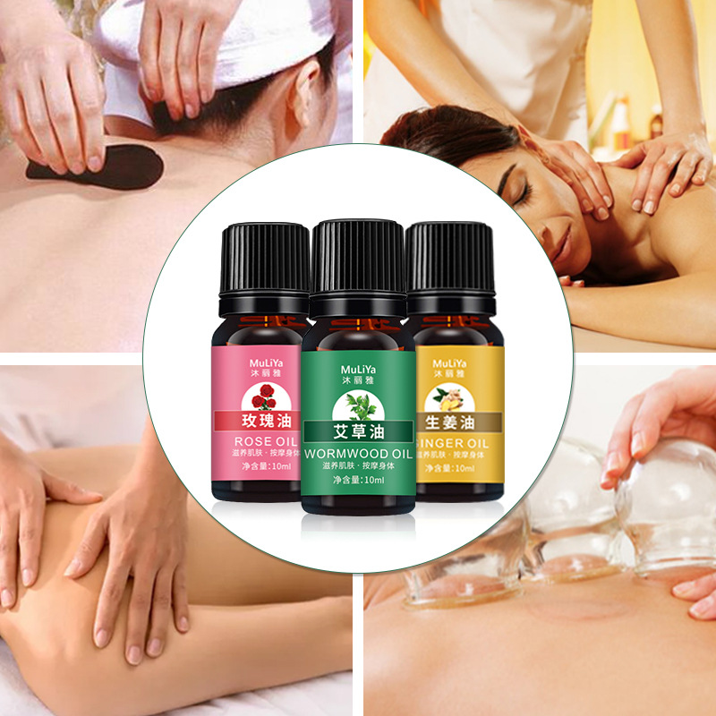 Muliya Wormwood ginger rose massage essential oil compound plant essential oil 10ml factory outlet