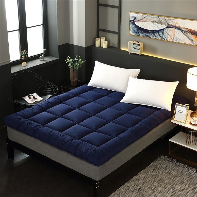 Three-Dimensional Feather Velvet Mattress Thickened Mattress Dormitory Soft Cushion Single and Double Lamb Velvet Mattress Export Mattress