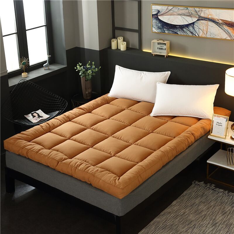 Three-Dimensional Feather Velvet Mattress Thickened Mattress Dormitory Soft Cushion Single and Double Lamb Velvet Mattress Export Mattress