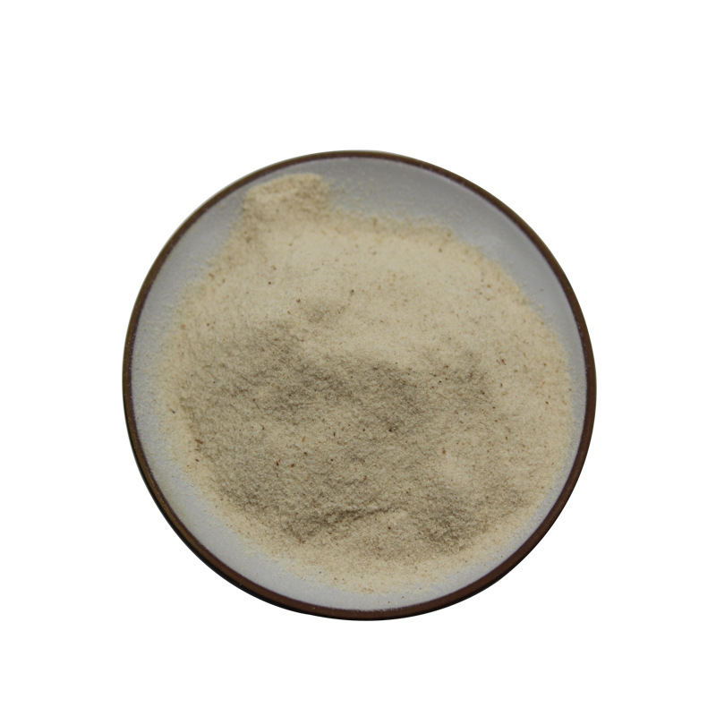 Psyllium Seed Husk Powder 98% Shaanxi Huike Manufacturer Supplies Psyllium Seed Husk Extract Powder with Free Shipping