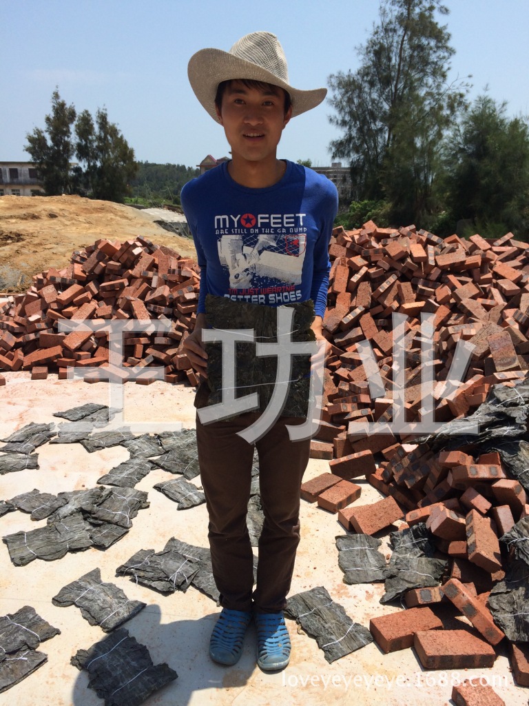 (Несколько фотографий) 30см ломтики ламинарии, короткая ламинария, без тертых овощей, сушеная ламинария, овощи на склоне