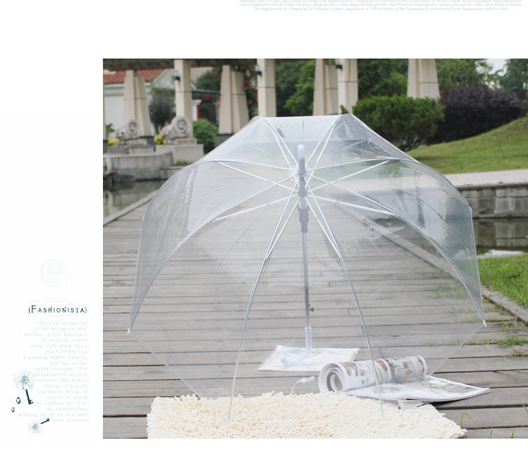 Net red umbrella long handle Princess Mushroom umbrella Arch Dance Umbrella automatic Apollo transparent gift umbrella