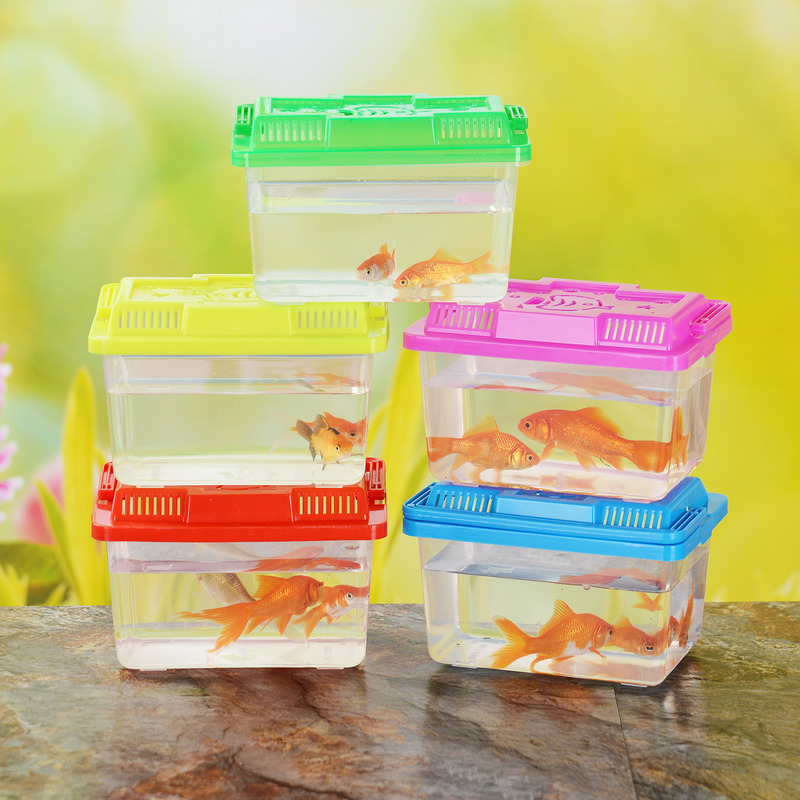 Factory wholesale small and medium-sized portable plastic fish tank turtle tank transparent pet box reptile breeding box transport box