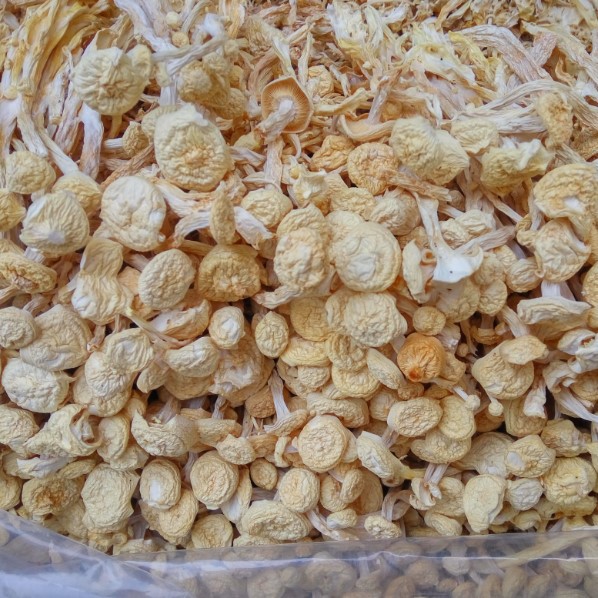 Tianyuan [direct Batch of Origin] Spotted Jade Mushrooms, Seafood Mushrooms, Crab Flavored Mushrooms, Dry Goods Cut Feet 0.5kg