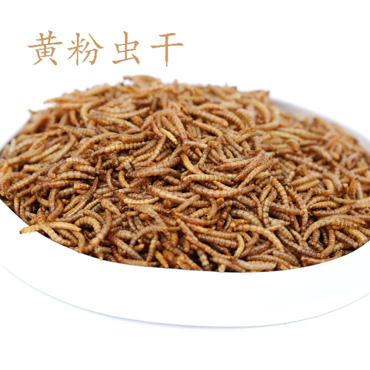 Сухой корм для хомяков, птиц и рыб Tenebrio molitor, экспортного качества, для мелких домашних животных