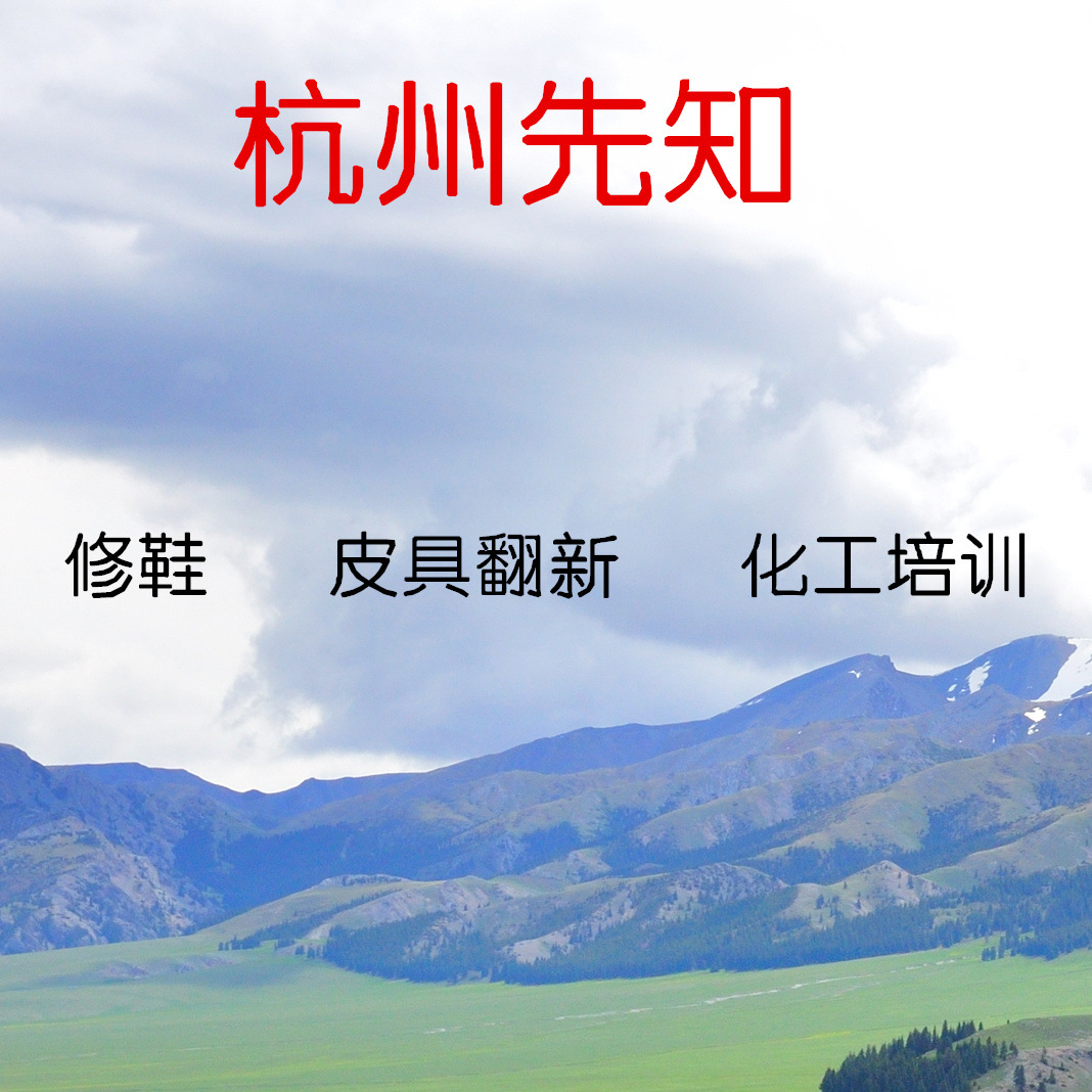 Обувь Hangzhou Prophet, роскошная кожаная обувь, кожаные сумки, товары из кожи, восстановление, уход, чистка, тренировка