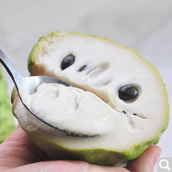 Fresh Seasonal Milk Pineapple Soursop Fruit from Guangxi, Sweet and Delicious