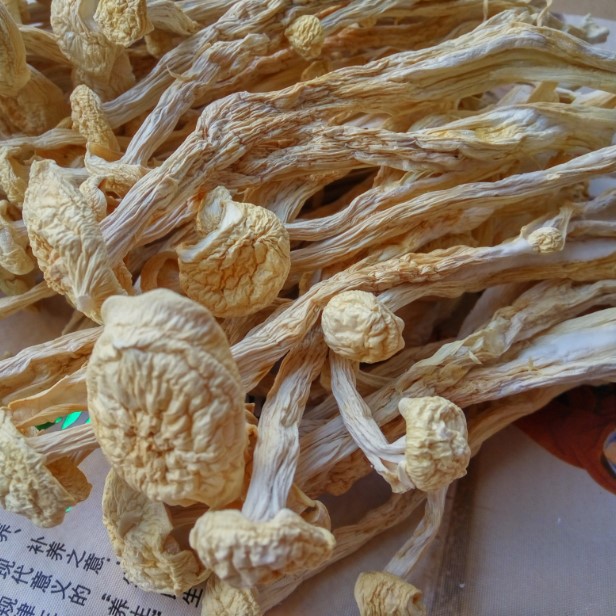 Тяньюань [прямо с места происхождения] пятнистые нефритовые грибы, морские грибы, грибы со вкусом краба, сушеные грибы 0.5кг