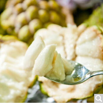 Fresh Seasonal Milk Pineapple Soursop Fruit from Guangxi, Sweet and Delicious