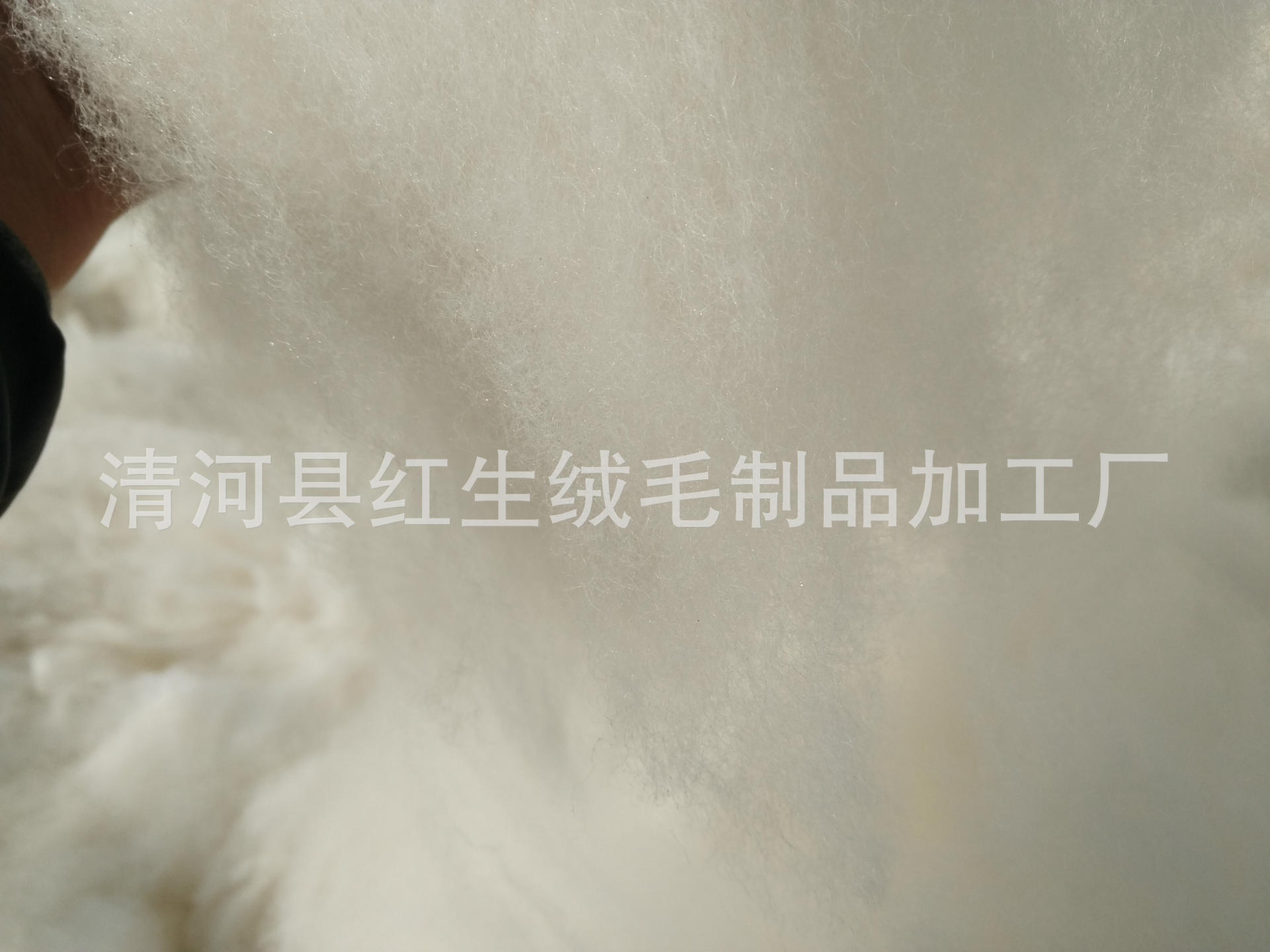 Manufacturers produce cashmere wool raw materials, fine wool, combed cashmere spinning 66s -- 70s