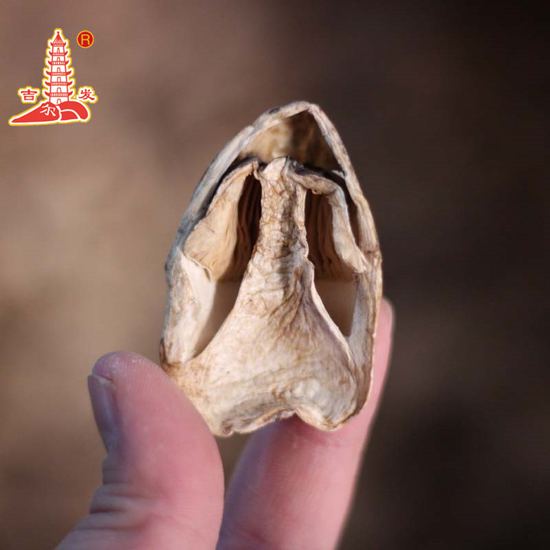 Jifa Mushroom mushroom dry goods dried mushroom specialty spot wholesale orchid Mushroom Mushroom Mushroom one piece delivery 500g