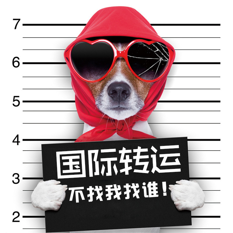 International Air Freight from Yiwu to Dubai, Uae, International Express Delivery to Dubai, Safe Dubai Express Line