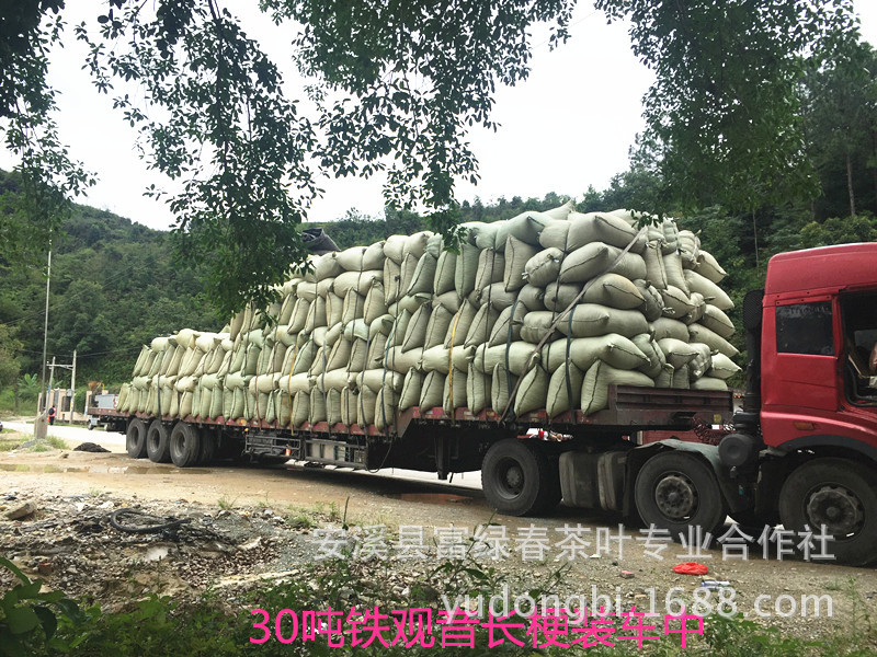 Tea stem iron guanyin cm stem short stem tea leaf stem formaldehyde removal odor removal mountain dense grass tea branch tea Rod tea leaf stem odor removal