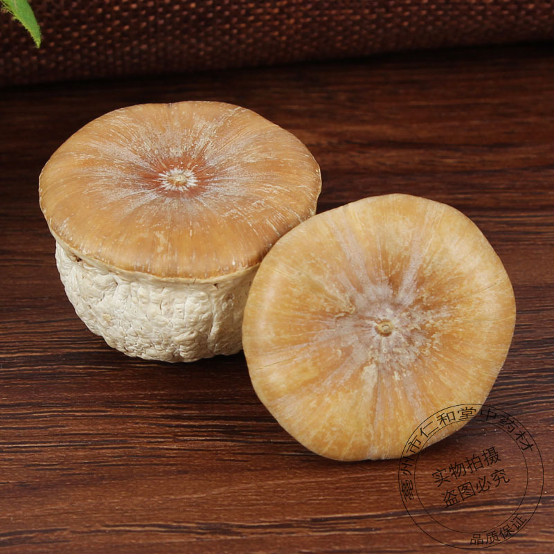 Fengliuguo Wholesale Chinese Medicinal Materials Fengliuguo, Glans Soaked in Wine, Large Supply, Large Supply, Fengliuguo