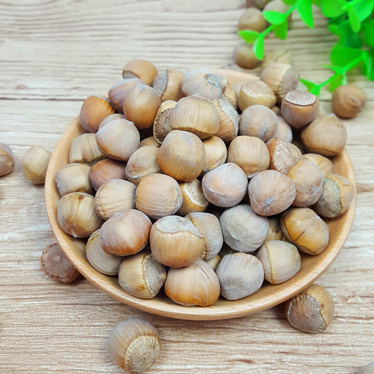 Raw hazelnut wild original flavor hazelnut Daxinganling Mountain Hazelnut Heilongjiang specialty nut new goods 500g free shipping
