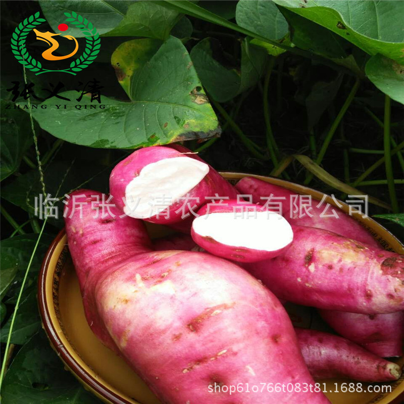 Dried Peeled Sweet Potato Ding Shandong Farmhouse Soil Special Factory Large Wholesale Babao Porridge Raw Materials Taste Good