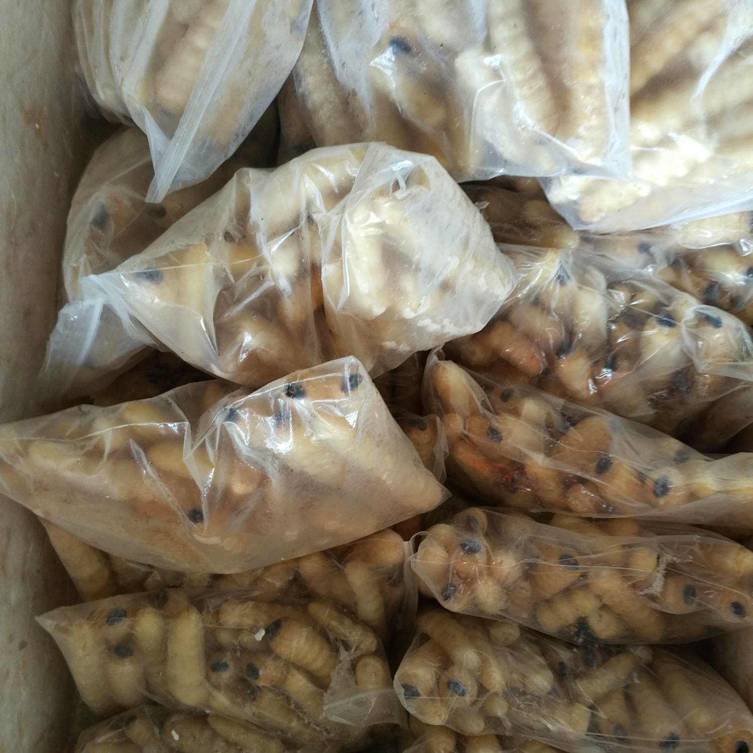 Long-Term Wholesale Firewood Insects, Woodworms, Wood Flowers, Edible Insects, Quick-Frozen Firewood Insects, Yunnan Specialty Insects