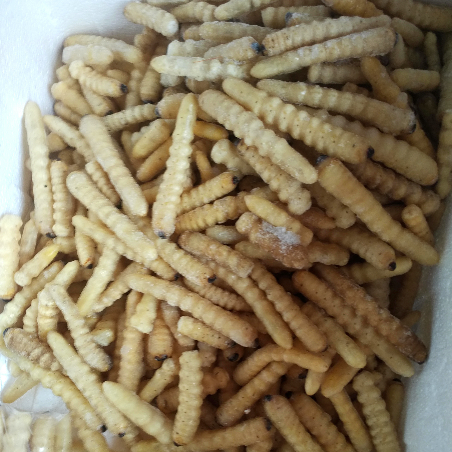 Long-Term Wholesale Firewood Insects, Woodworms, Wood Flowers, Edible Insects, Quick-Frozen Firewood Insects, Yunnan Specialty Insects