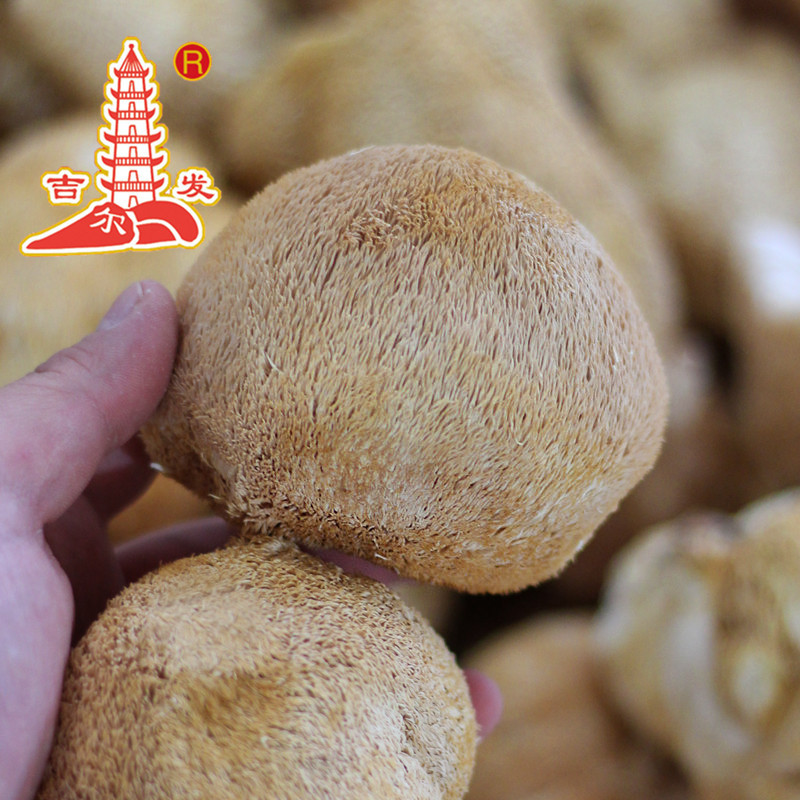 Оптовая продажа сушеных грибов херициум эринелла 500г по запросу