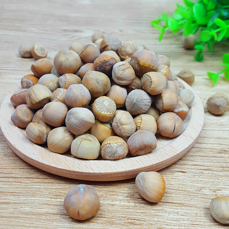 Raw hazelnut wild original flavor hazelnut Daxinganling Mountain Hazelnut Heilongjiang specialty nut new goods 500g free shipping