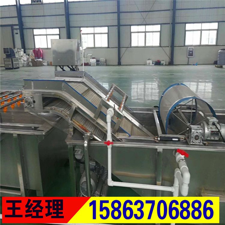 High Pressure Spray Bubble Washing Machine Fruit and Vegetable Washing Machine Vegetable Washing Machine Fruit Washing Machine
