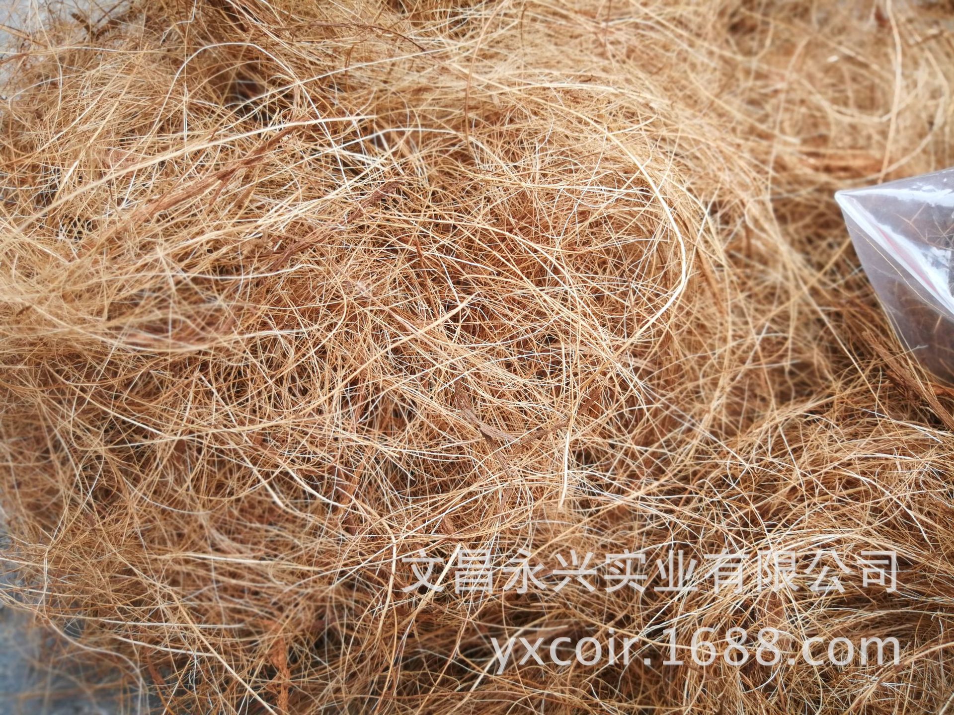 Retail Hainan Coconut Palm Silk Gardening Flower Pots with Surface Covering Plants That Are Moisturizing, Breathable and Succulent