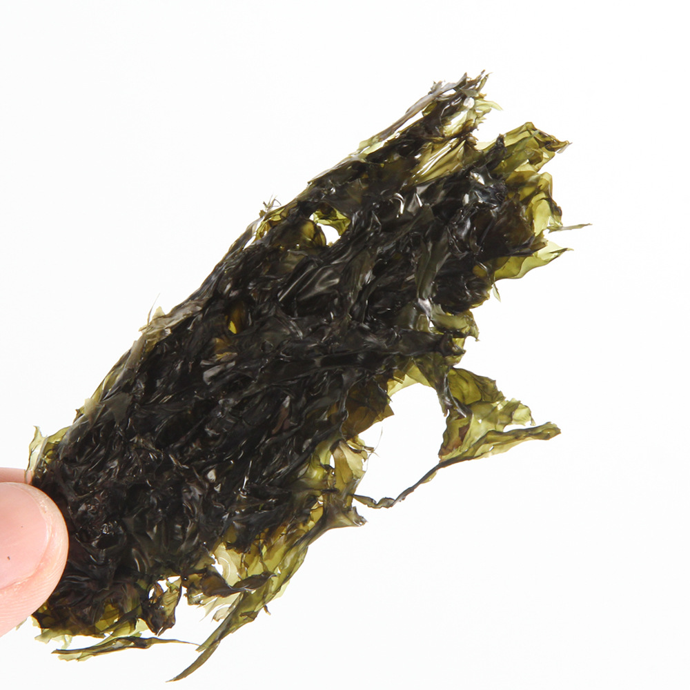 Dried Seaweed Small Package with Seasoning Package Haizhijia Seaweed 45g Wholesale