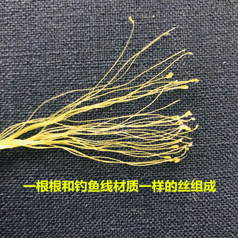 2mm 600m Yellow Polyethylene Rope Binding Rope Greenhouse Rope Thick and Thin Rope Gardening Rope Plastic Rope Nylon Rope