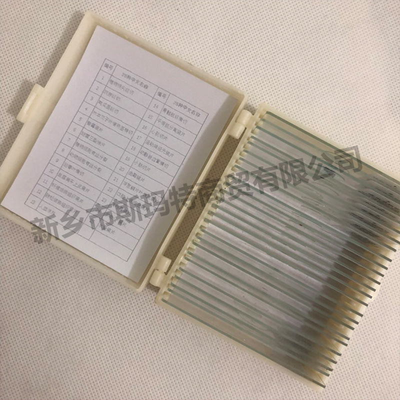 Microscope biological slice biological specimen specimen slice 25 pieces suit