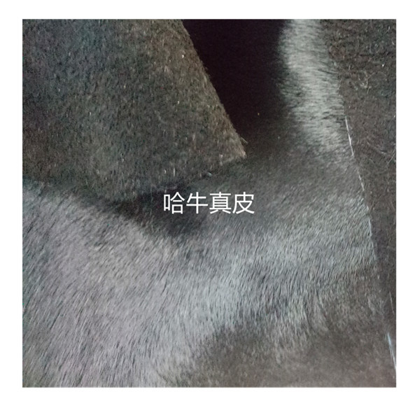 Leather horse hair black horse hair cattle to provide manufacturers direct color horse hair customized sample