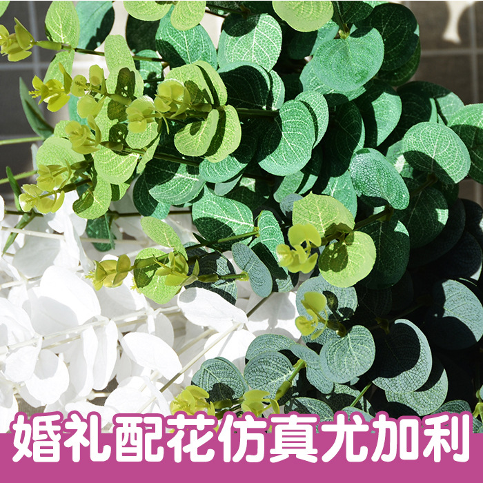 16 head chysim simulation decoration eucalyptus artificial flower decoration Flower Garden big leaf money Leaf Wholesale