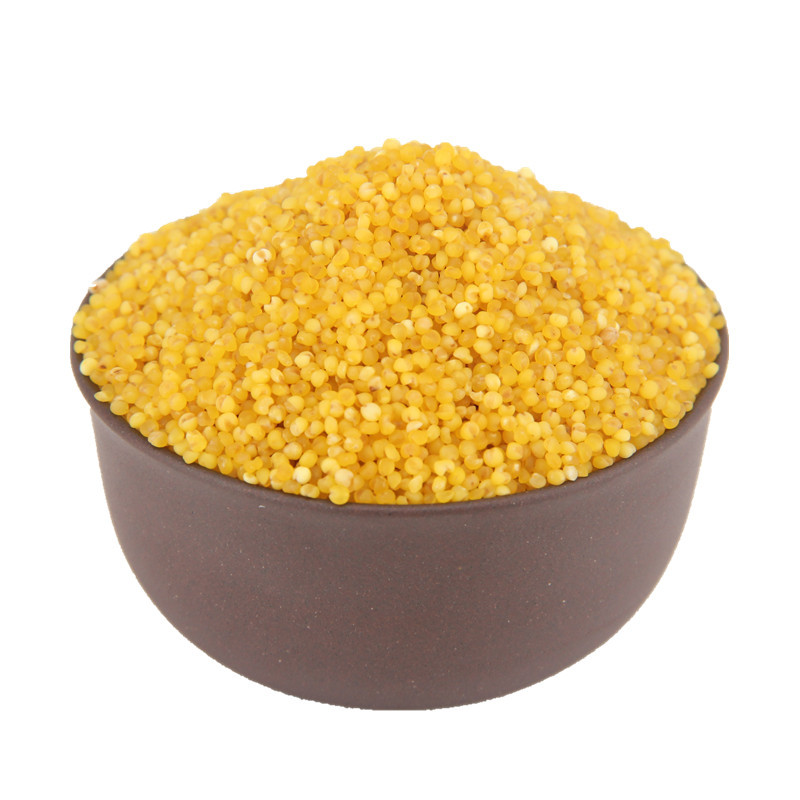 Shaanxi Yellow Millet, Whole Grains Millet, 500g Bulk Yellow Millet Wholesale, Postpartum Rice