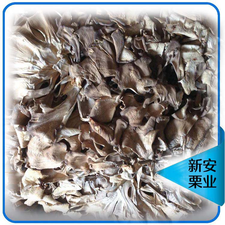 100g Qianxi chestnut mushroom special selection gray tree flower dry goods non-sediment maxi special food for Qianxi, gifts and self-food