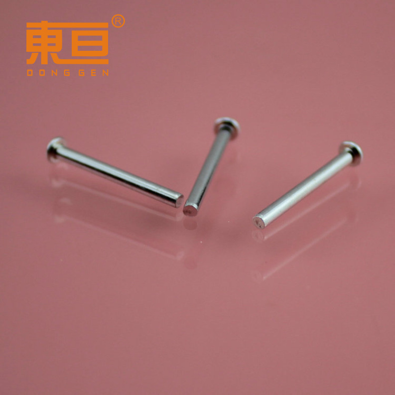 Dt2*21 Head Shaft Iron Shaft Optical Shaft Toy Shaft Toy Accessories Technology Building Block Parts