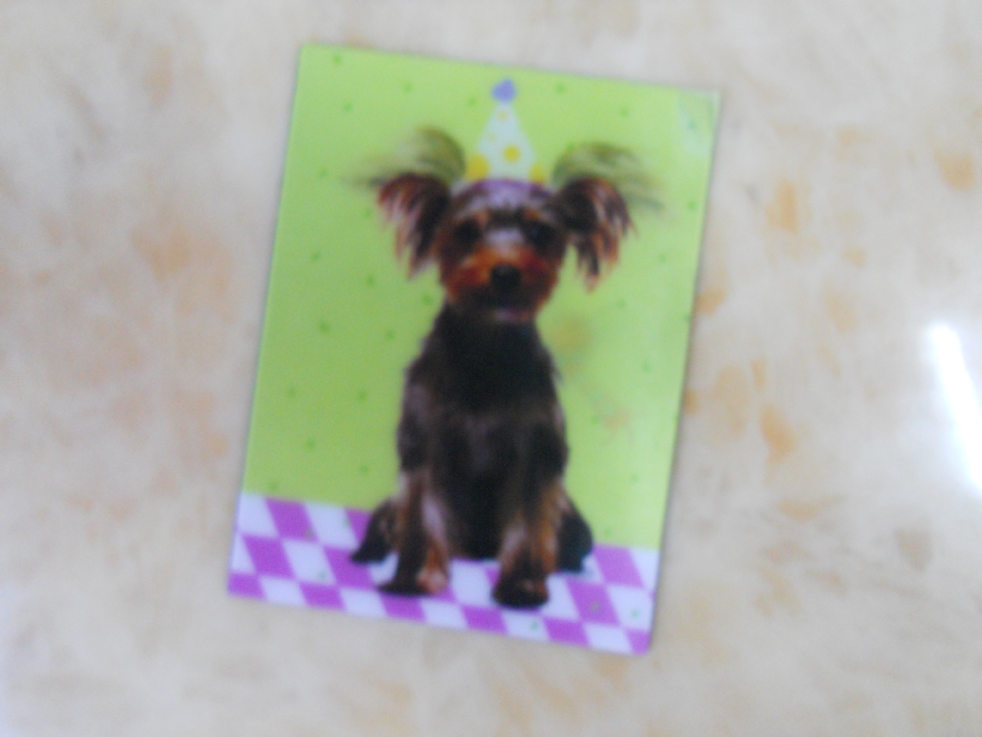 Factory Outlet, 300G Coated Paper Business Card Production PrintinG Factory