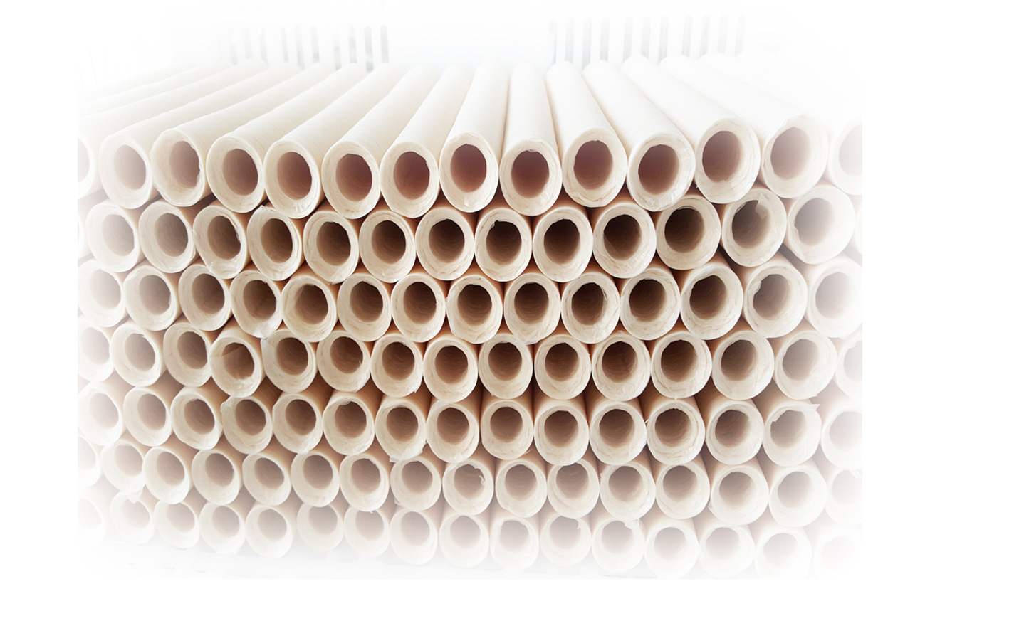 Collagen Casings Defu La