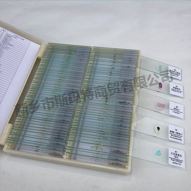 Microscope biological slice biological specimen specimen slice 100 pieces suit