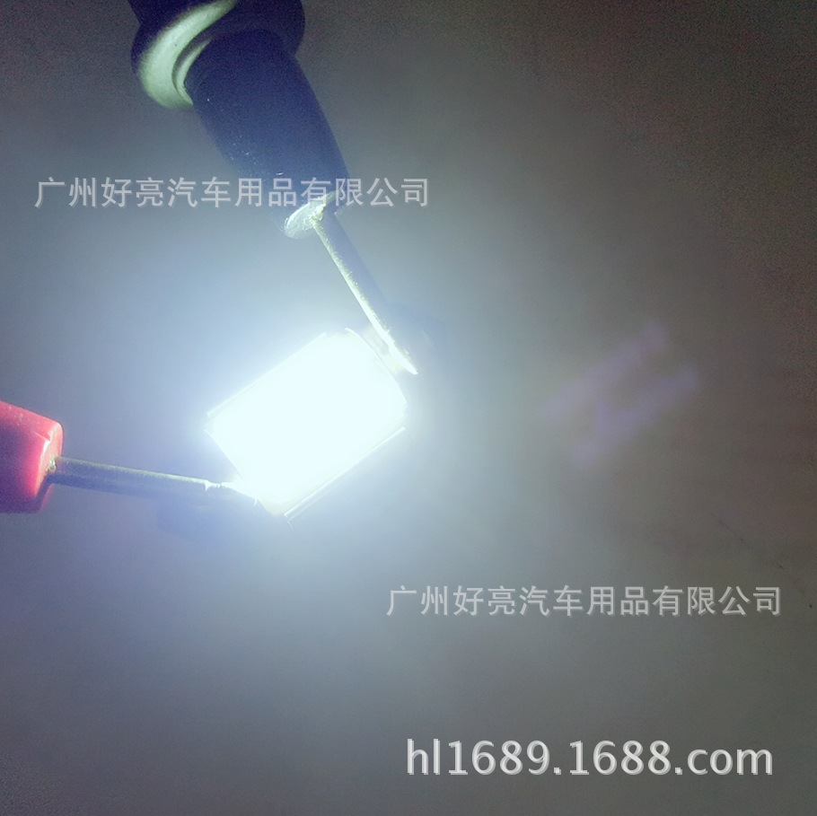 Source Manufacturer Dual-Pointed 12V Car Light 12 Lights 12V Dual-Pointed Light 28mm 4014 12Smd Ultra-Bright