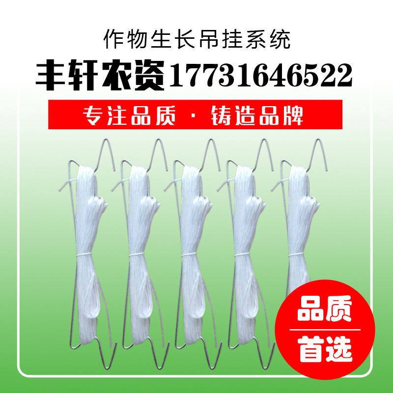 Manufacturer's New Tomato Hot Galvanized Hook Wholesale Vegetable Hanging Vine Seedling Hook Metal Hook