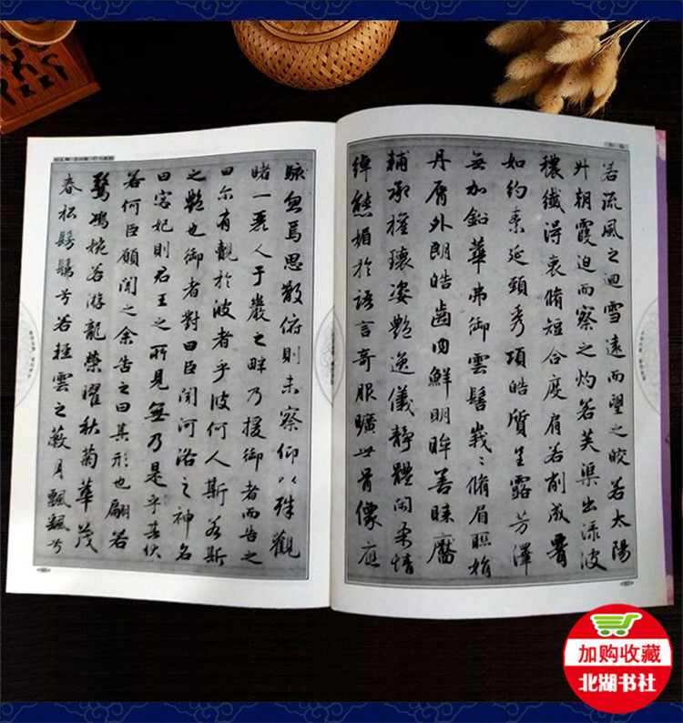 Zhao Mengfu Walking Calligraphy Tutorial Luo Shen Fu Calligraphy Training Textbook Wang Xizhi Holy Teaching Preface Mi Fu Shu Su Tie