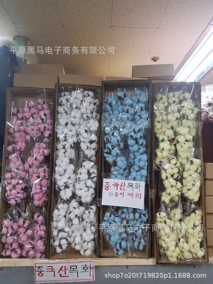 Xinjiang color natural cotton dried flower immortal cotton bouquet kapok artificial flower DIY embossing material set