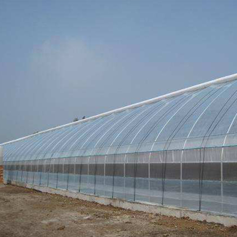 Factory wholesale ordinary 60 mesh insect-proof net cover vegetable greenhouse fruit tree Special pure material polyethylene breeding fence