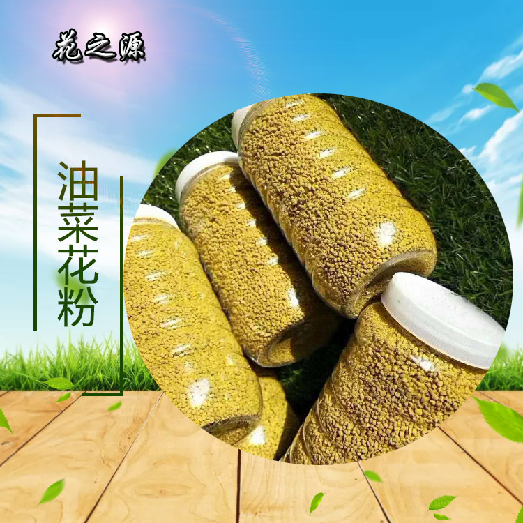 Pollen rape pollen Qinghai rape pollen rape bee pollen wholesale bee pollen