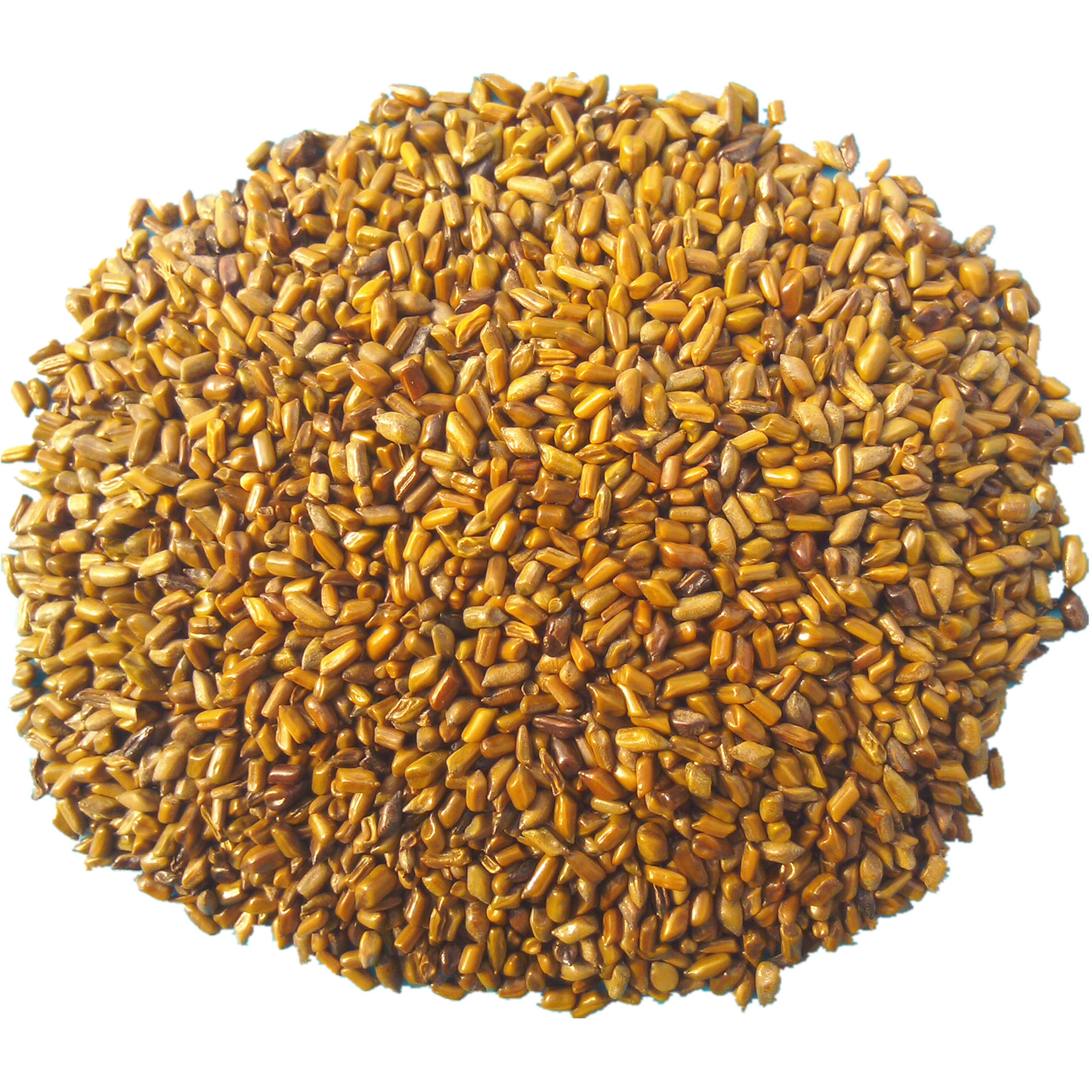 High-Quality Cassia Seeds, Computer Color Selection and Polishing, Pillow Beach Toys, First-Hand Source, Factory Direct Sales