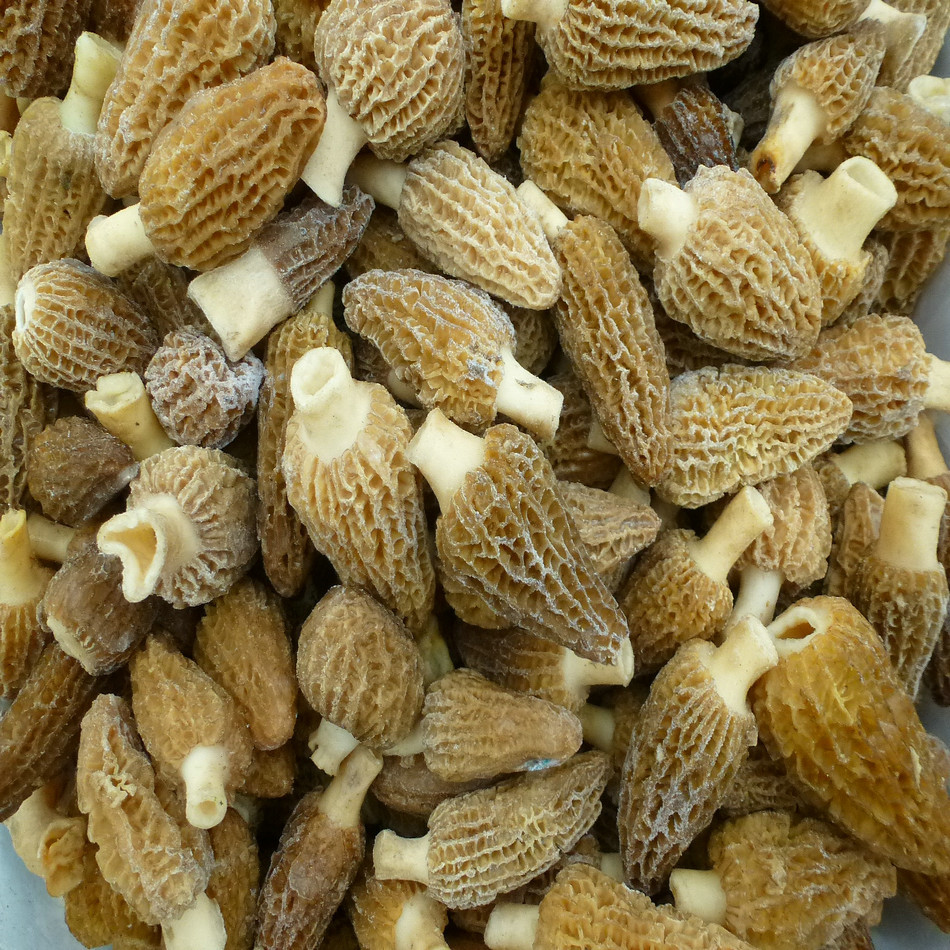 [yulianglong] Morel Hotel Morel Jelly Products Wholesale Mountain Treasures Delicious Morel Mushrooms Affordable