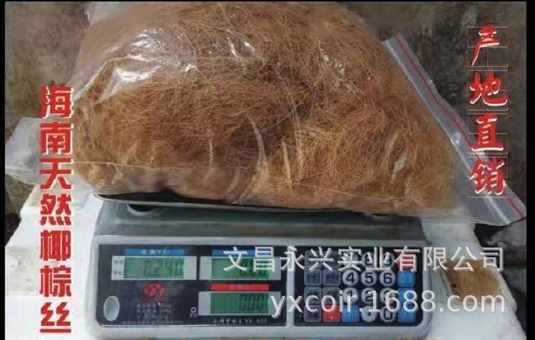 Retail Hainan Coconut Palm Silk Gardening Flower Pots with Surface Covering Plants That Are Moisturizing, Breathable and Succulent