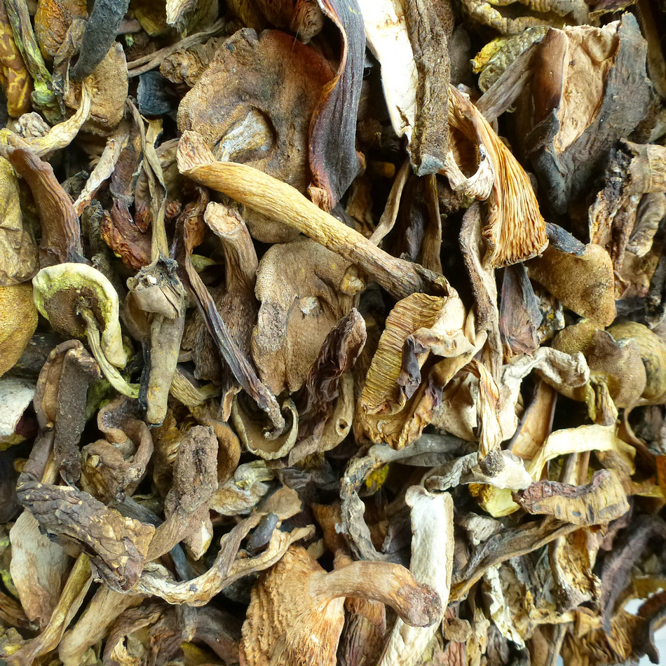 [yu Fungus Long] Yellow Beef Liver Boiled Soup Beef Liver Mushroom Hot Pot Boiled Soup Yellow Beef Liver Mushroom Soup Mushroom